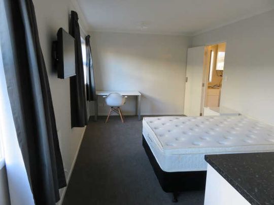 Fully furnished studio units are now ready for discerning tenants. - Photo 1