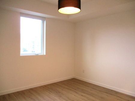 2bed 2bath Condo; Cawston – Available Now - Photo 3