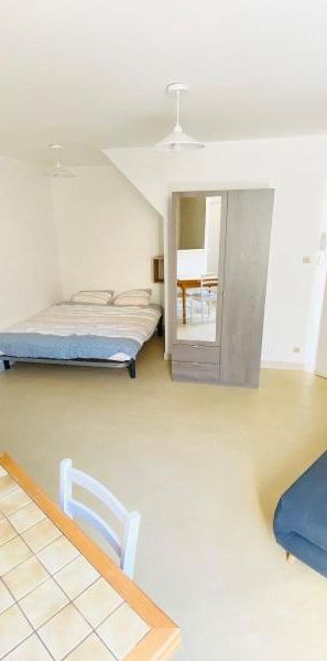 Location Appartement 1 pièce 22m² ST LAURENT SUR SAONE 01750 - Photo 1