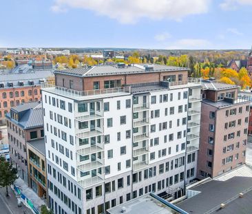 Skolgatan, Umeå - Photo 2