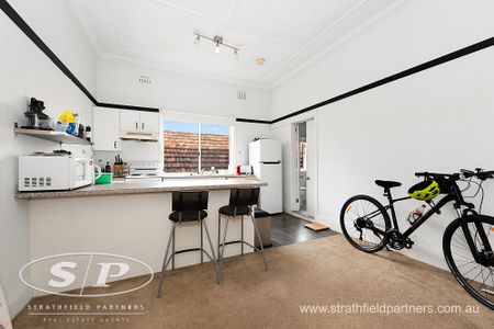 16a The Crescent, Homebush NSW 2140 - Apartment For Rent | Domain - Photo 4