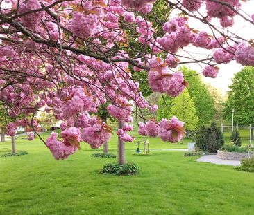 Inägogatan, Göteborg - Photo 4