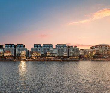 Lake views at the Kingston Foreshore - Photo 3
