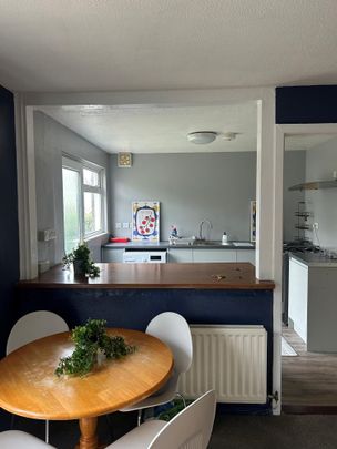 4 bedroom house share to rent - Photo 1