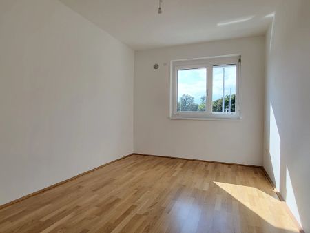 Erstbezug! Gefördertes Reihenhaus mit Terrasse und Garten, Top 17A - Photo 5