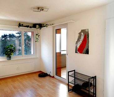 4½ Zimmer-Wohnung in Kreuzlingen (TG), möbliert, auf Zeit - Foto 3