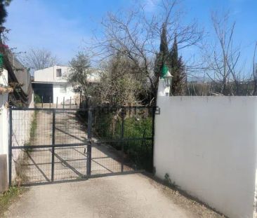 Alquiler de finca rústica en Diseminado polígono, 10 - Photo 2