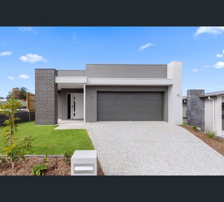 17 Musgrave street, South Ripley, Qld 4306 - Photo 4