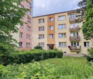 Pronájem bytu 1+kk, 21 m - Photo 2