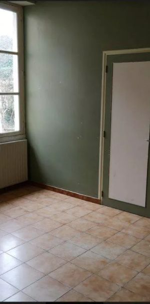 Appartement avec cour - Photo 1
