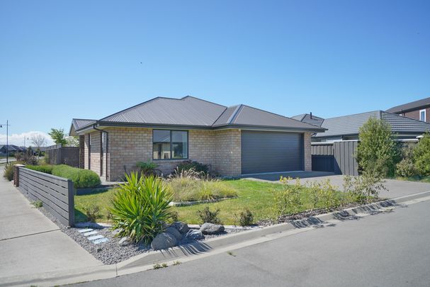 Treasure in Pegasus - Photo 1