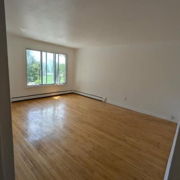 5 1/2 - Montréal (Anjou) - 1 850 $/mois - Photo 1