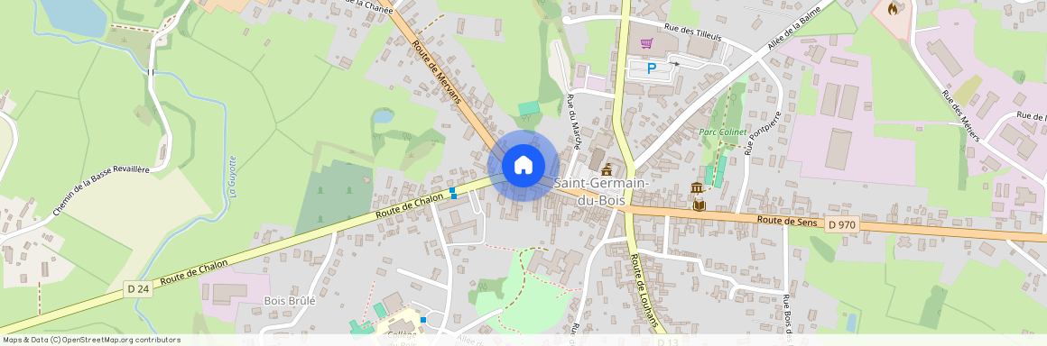 ST GERMAIN DU BOIS (71330)