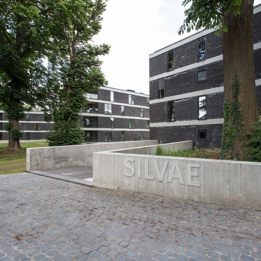 Bijzonder energiezuinig appartement met drie slaapkamers, leefterras en autostandplaats. - Foto 1