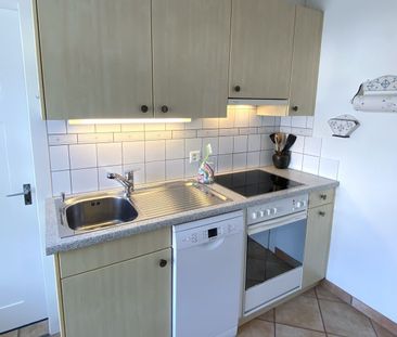 3 ROOM APARTMENT IN RICKENBACH SULZ (ZH), FURNISHED, TEMPORARY - Photo 5
