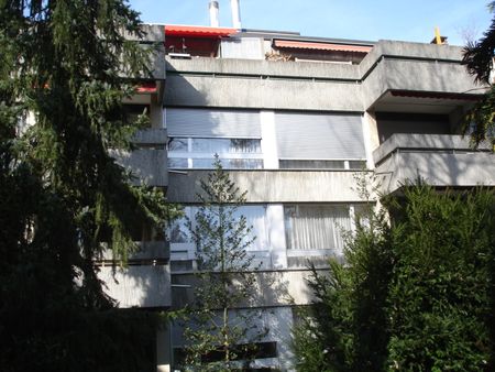 Helle Wohnung im Paulusquartier - Photo 5