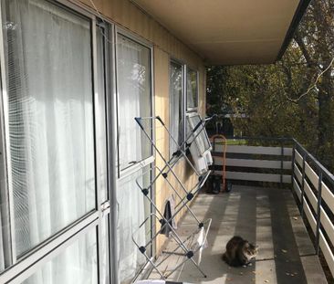 Tidy One Bedroom Unit with Central Location - Photo 4