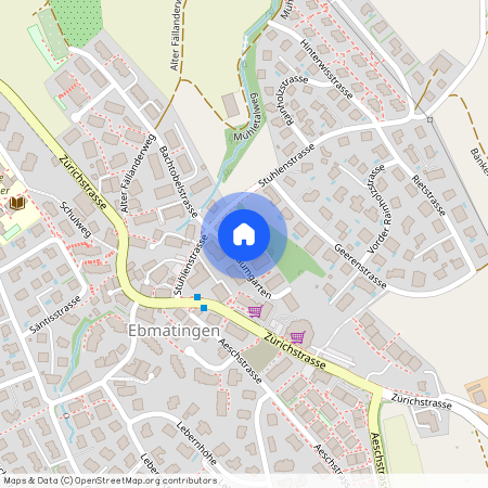 Im Baumgarten 5, 8123, Ebmatingen