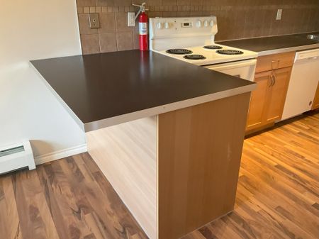 (PN102) Affordable 2-Bedroom Suite with Heat, Water & Parking Included - Photo 5