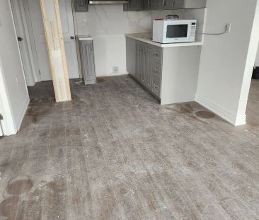 2955 Monarch Drive #Basement - Photo 3