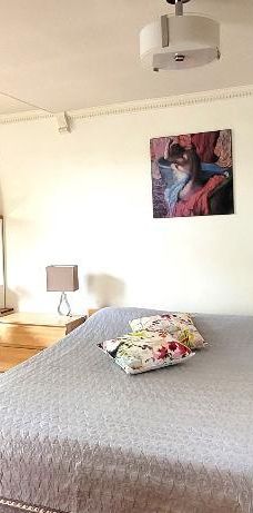 HAUT DE DUPLEX MEUBLÉ/iNTERNET-PETITE-PATRIE-M. D'IBERVILLE-UDM-HEC - Photo 1