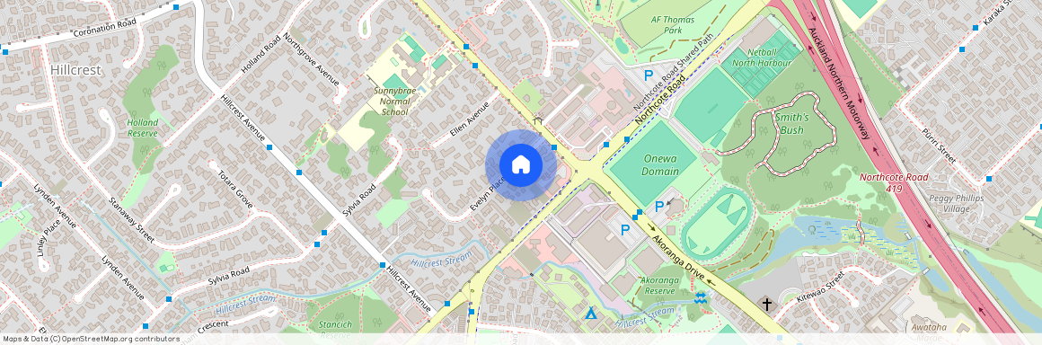 2/8 Evelyn Place, Hillcrest, NZ 0627