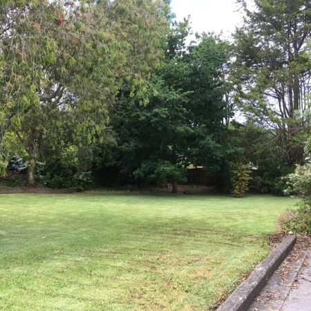 Fully renovated units - Photo 4