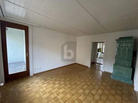 IDYLLIC OLD BUILDING WITH LARGE ROOF TERRACE - Photo 1