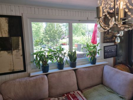 Musköstigen, Årsta Havsbad - Photo 3