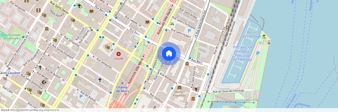 484 Rue St-Louis, Montréal (Ville-Marie), H2Y1A9