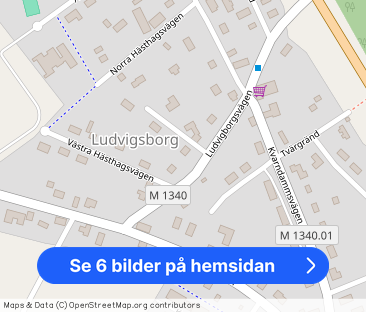 Ludvigsborgsvägen, Hörby - Foto 1