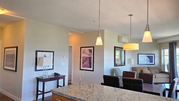 Copper Sky FURNISHED 2 bd, 2 bath condo - Photo 1