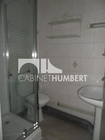 Location Appartement 3 pièces 53m² ST ETIENNE 42000 - Photo 4