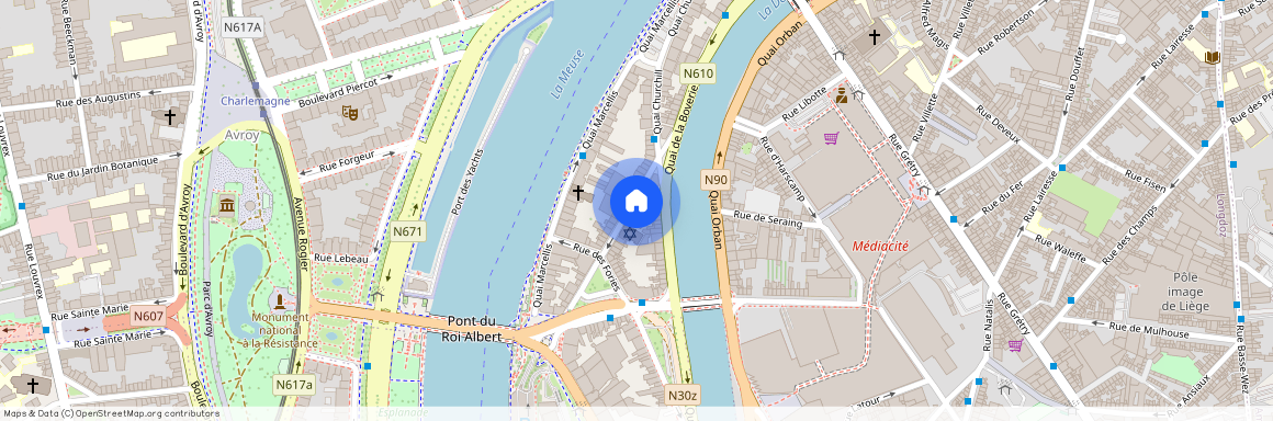 Rue Léon Frédéricq, 8, 11, 4020, Liège