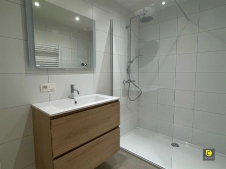 1-slaapkamerappartement in rustige buurt in Berchem - Photo 5