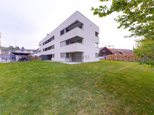 Einzigartige 4.5-Zimmer-Wohnung in Laufen, Kanton BL - Foto 1