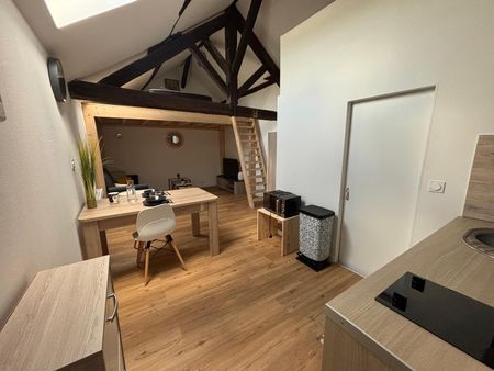 Location Appartement 1 pièce 24m² ANGERS 49000 - Photo 4