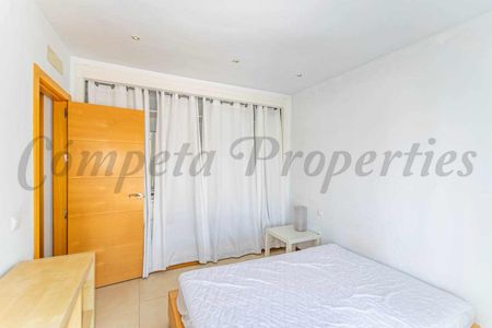 Country Property in Sayalonga, Inland Andalucia in the mountains - Photo 5