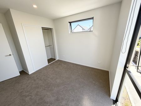 358 Hereford Street, Linwood - Photo 3
