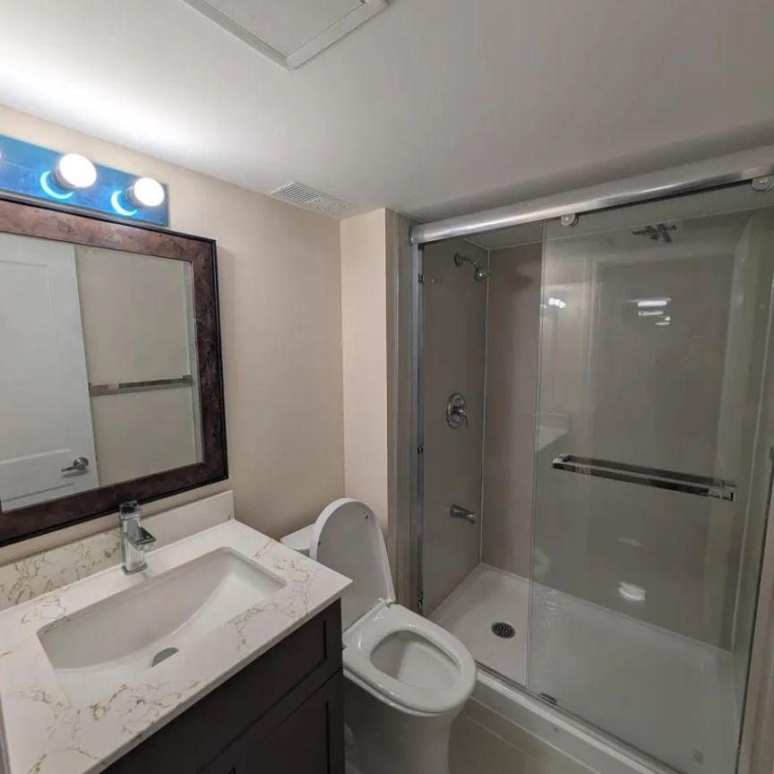 41 BLACK WALNUT DRIVE - Photo 1