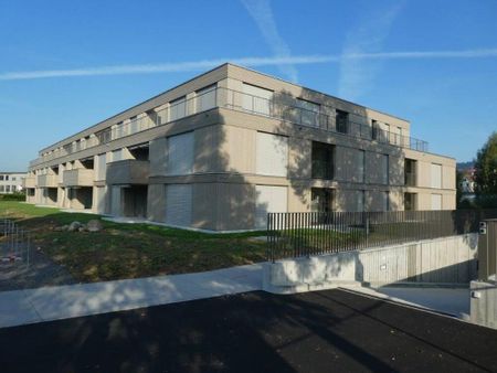 Naturnahes Wohnen direkt an der Limmat - Foto 4