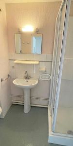 Location Appartement 1 pièce 19m² DIJON 21000 - Photo 3