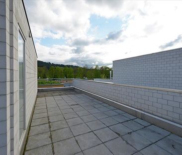 Wohnen an der Zürchermatte - Foto 6