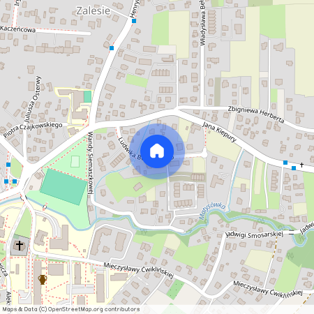 ul. Ludwika Bernackiego, Zalesie, Rzeszów, podkarpackie