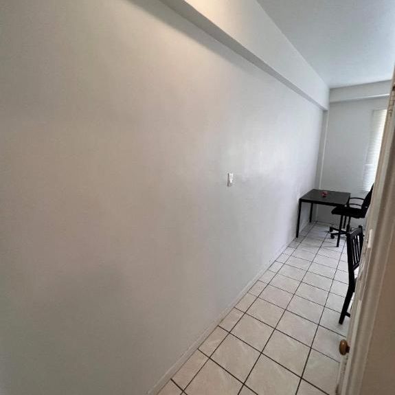 NEAR MCGILL U, GORGEOUS AND RENOVATED 1½ (pateau Mont Royal) - Photo 1