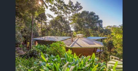 Secluded Hinterland Retreat A Nature Lovers Dream - Photo 3