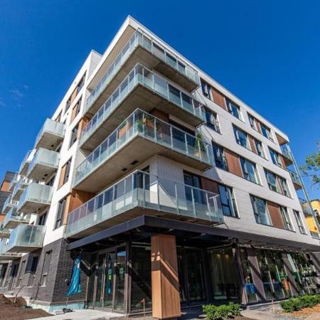 1 1/2 - Montréal - 1 490 $/mois - Photo 4