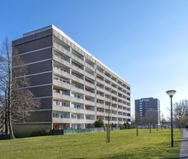 Demnächst frei! 1-Zimmer-Wohnung in Dortmund Scharnhorst - Photo 1