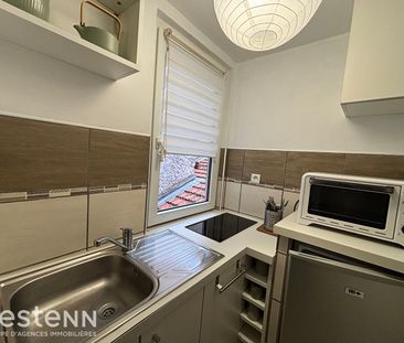 Location Appartement 1 pièce 20m² - Photo 4