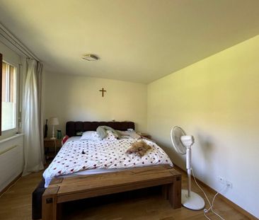 Homely 4.5 room ground floor apartment - Photo 5